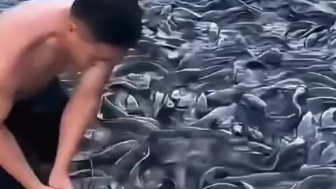 Fish farming