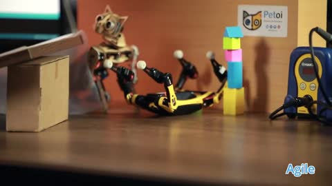 Petoi Bittle - A Palm-sized Robot Dog