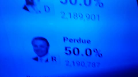 INTERNATIONAL WIDE ELECTION FRAUD VOTING MACHINE CRIME, GEORGIA RUNOFF SHAM ELECTION CRIME 313