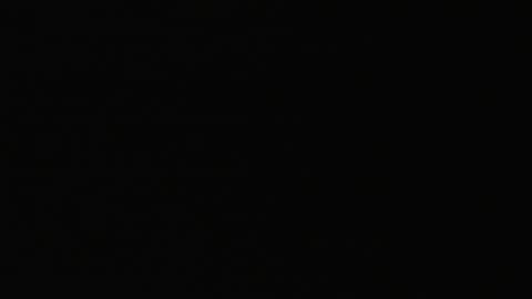 2923RHOBGRXrayLowerIndep_2021-01-05_06h20min02s340ms.mp4