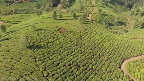 India - In 4K - Incredible Scenes Of India Scenic Relaxation Film