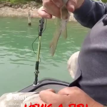 Using a fish hook extractor