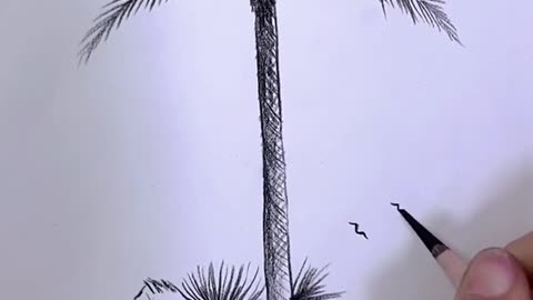 Realistic drawing Art Coconut Tree