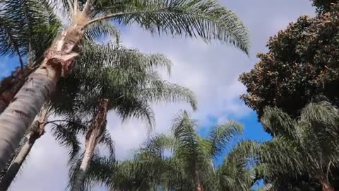 Assisted Living Facility Los Angeles | Hollenbeckpalms.com