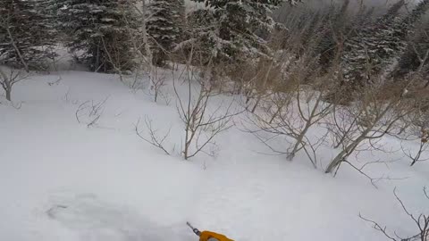 Creamy Fast Powder Day │ (no music, just POV skiing)