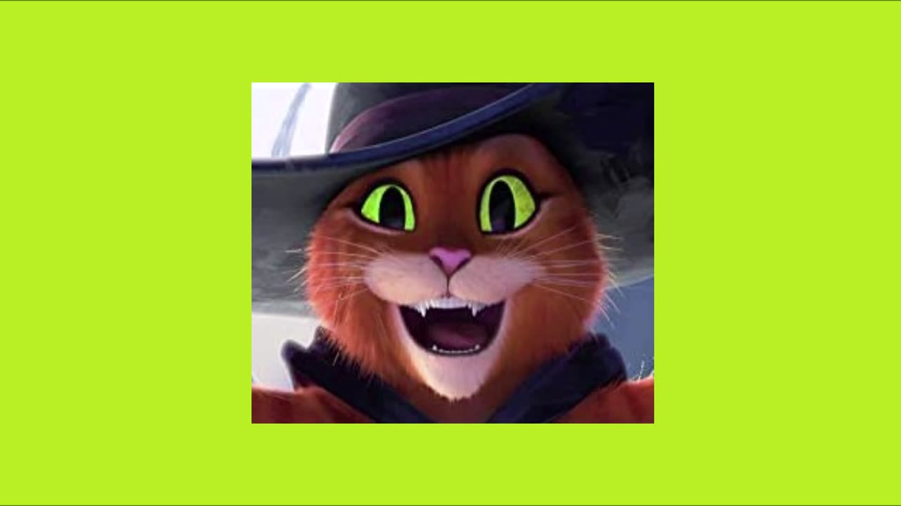 catgroove ( sped up + reverb )