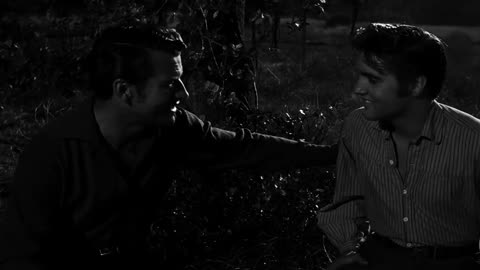 Love me tender