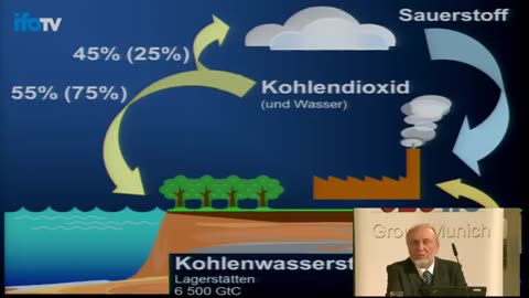 Prof. Sinn - Energiewende ins Nichts