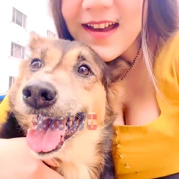 Beautiful girl shorts