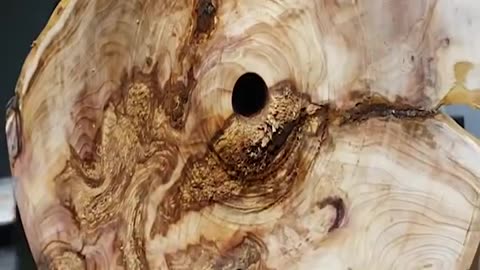 Using a tree root cart to make a big flower vase is so beautiful