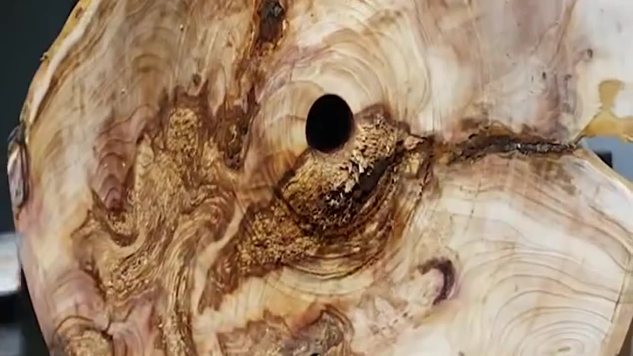 Using a tree root cart to make a big flower vase is so beautiful