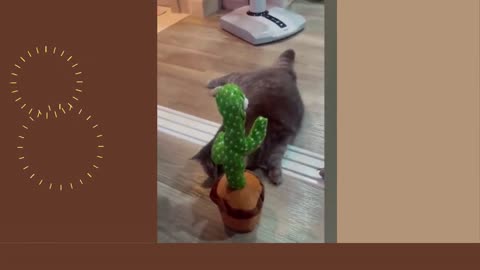 Wow it's the most popular videos of cutest animals in 2023😍😍