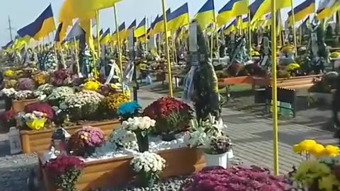 Ukraine counteroffensive