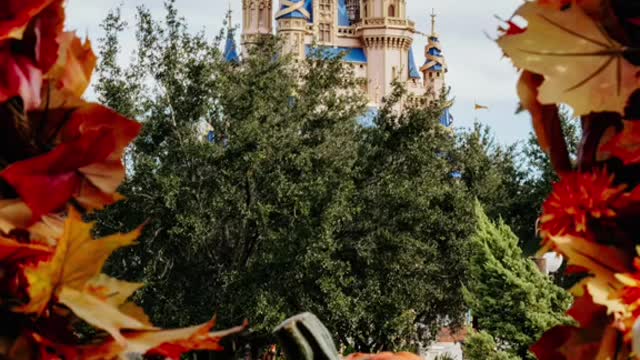 Halloween photos I took at Walt Disney World