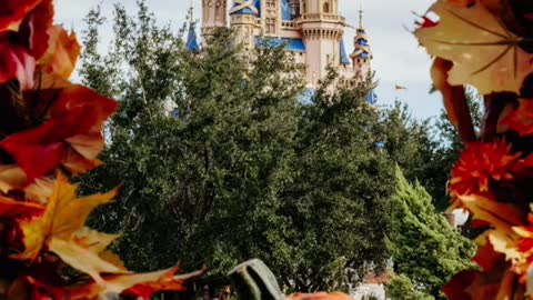 Halloween photos I took at Walt Disney World