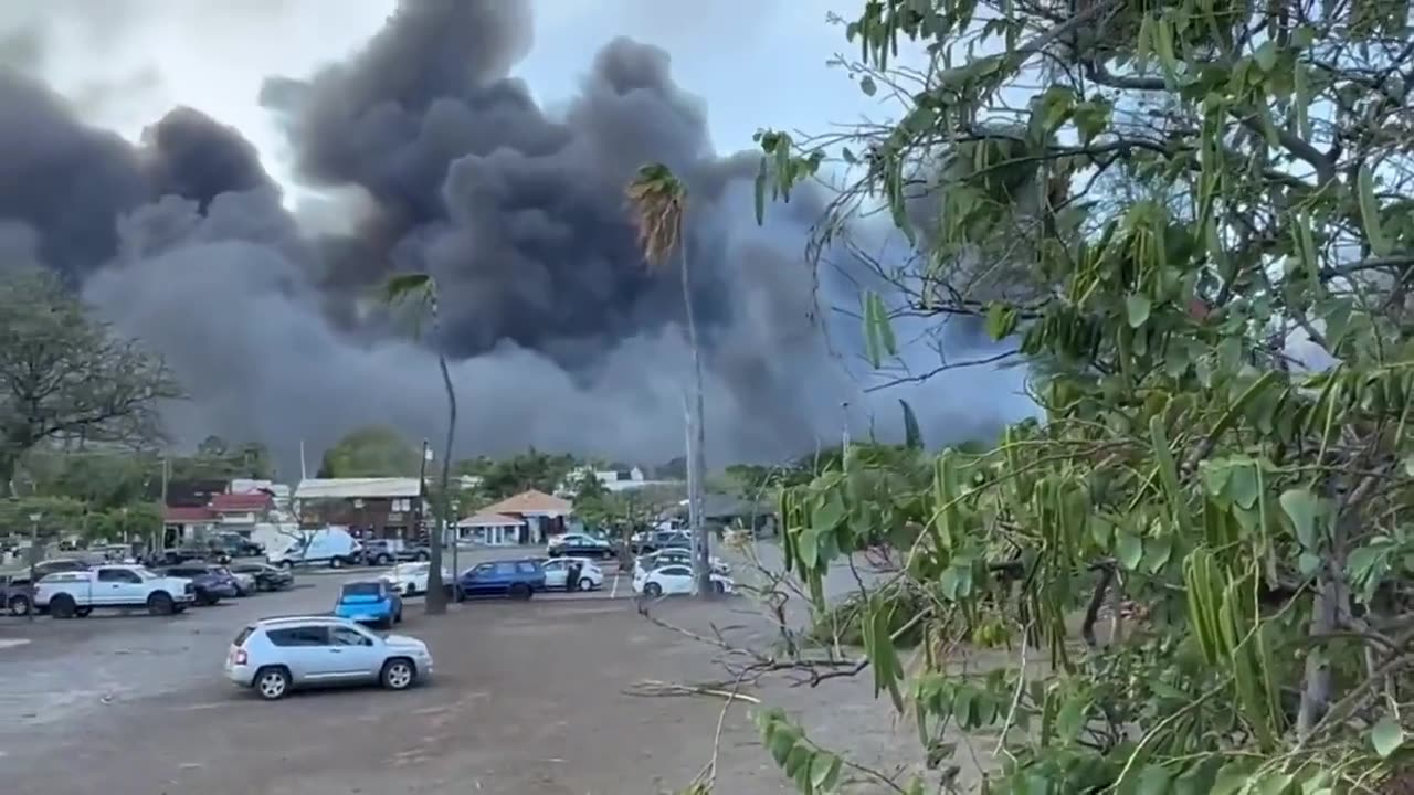 Maui Fires - Crazy