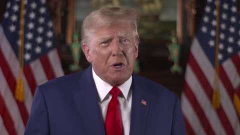 President Trump NFT's cards