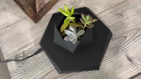 Levitating plant pots