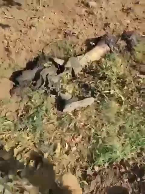 They Don't Even Have a Leg to Stand On