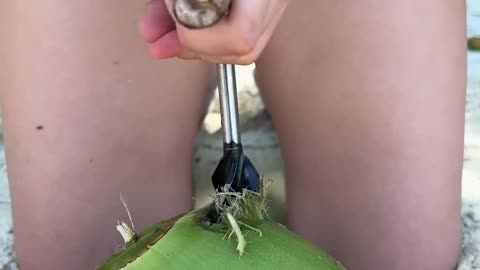 This is a regular COCONUT🥥