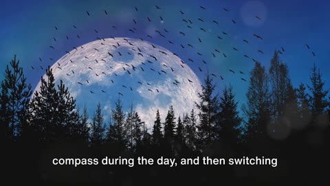 Feathered Navigators: How Birds Know Where to Migrate