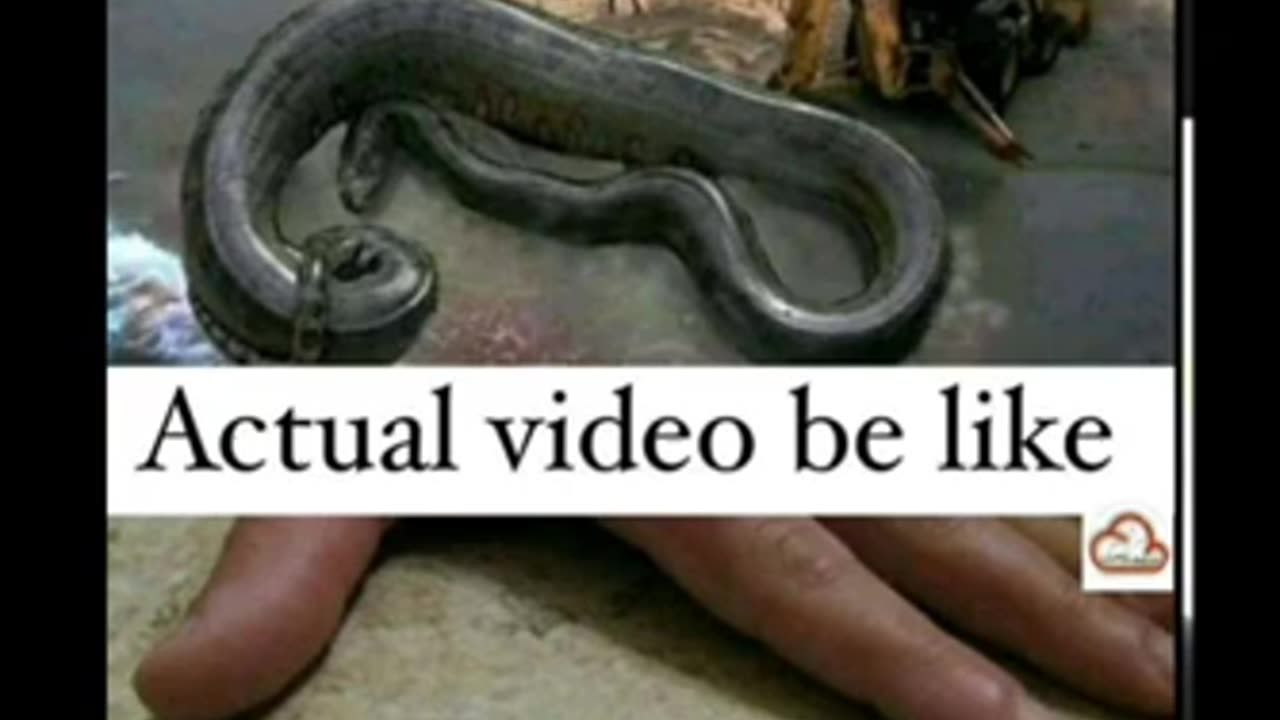 Memes that will make you laugh | Funny Memes 😂😂