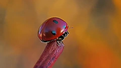 What a beautiful World and Nature!