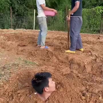 New funny shorts video