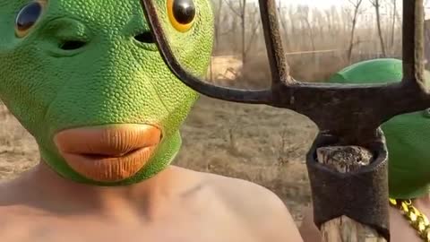 A collection of funny videos 2022