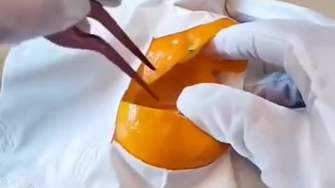 Giving birth process 😌
