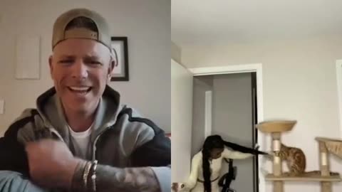 Cat VS. Woman