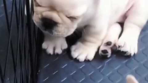 You must’ve stayed up late last night.