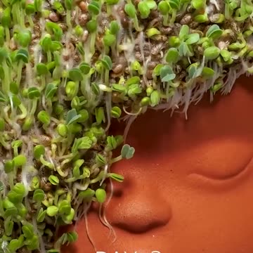 Look how interesting this is! 😱😱😱