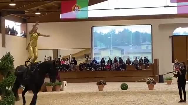 Volteggio Equestre, Giorgia Fanucci si laurea campionessa italiana