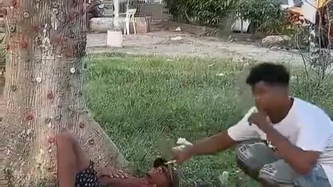 Animals attack