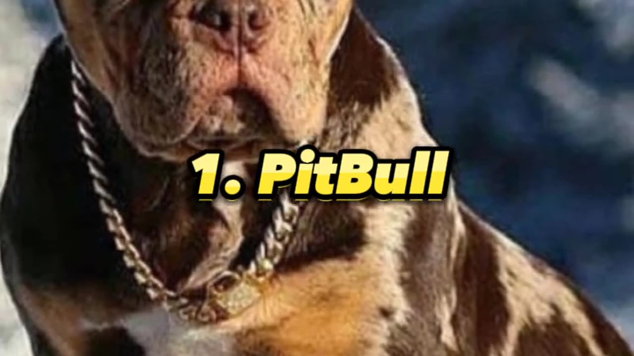 Top 10 Most dangerous dogs in the world 😱#shorts