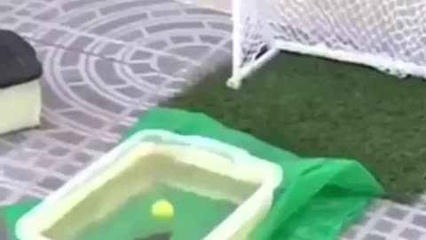 Fish strong shot on the football