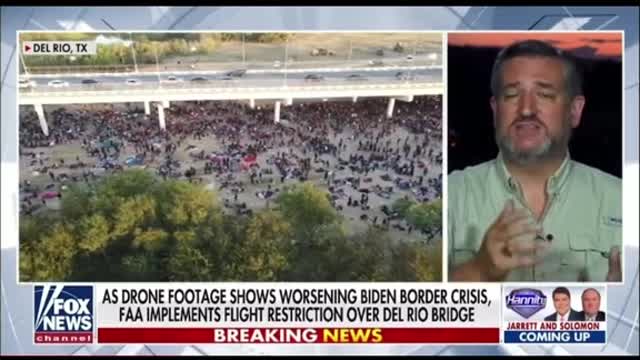 Ted Cruz "LIVE" At The Border!! MSM Doesn't want this out!!