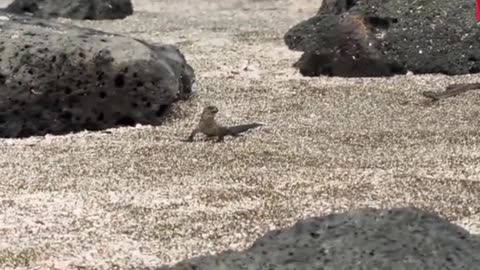 Nature & Wildlife