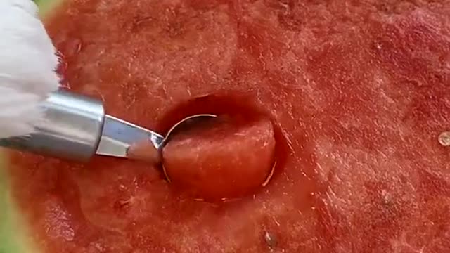 Do you miss a bit of cat 🤣🤣🤣