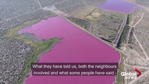 Why have two Argentina lakes turned pink? Environmentalists say it is because of pollution