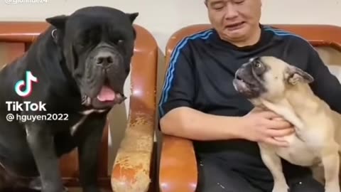 The fiercest dog ever!