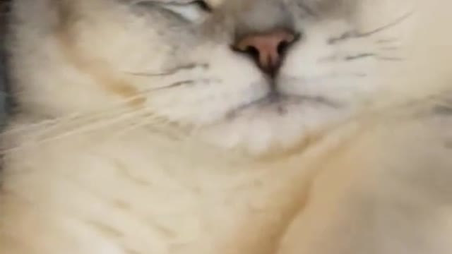 DoyouwantcateverydayitemsCometomyhomepageandsendmeanemail.