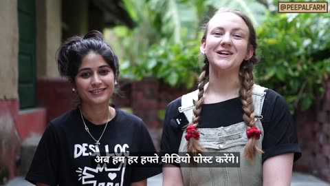 Welcome to peepal Farm Helpline | Animals Rescue Animal frist Aid