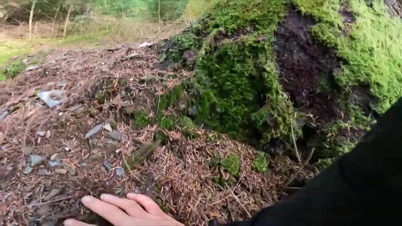 Two Bikers Jumping Ramps Then One Faceplants Against a Tree