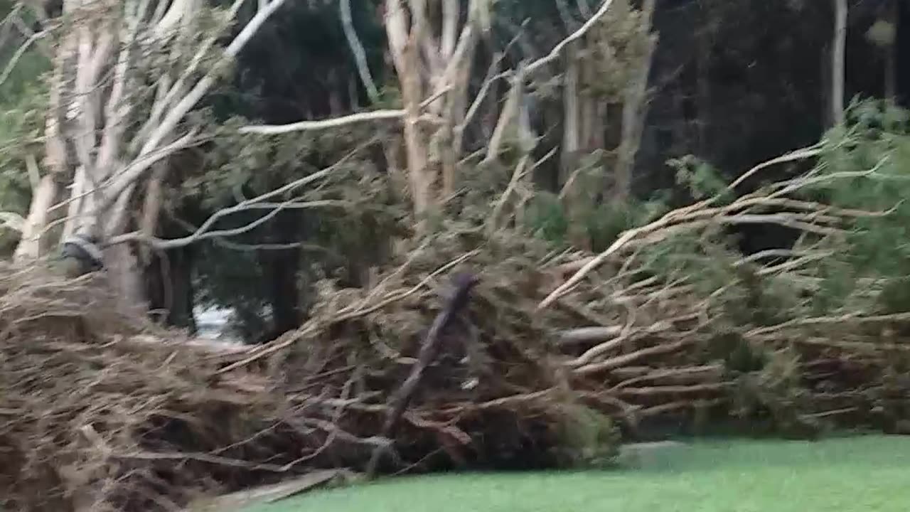 19.12.2023 Cyclone Jasper