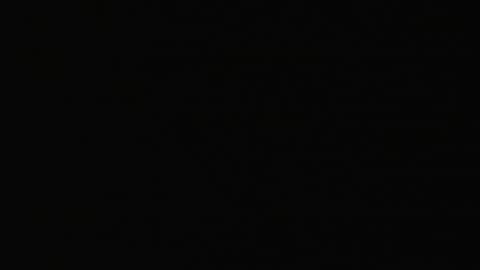 2923RHOBGRXrayLowerIndep_2021-01-05_23h00min03s493ms.mp4