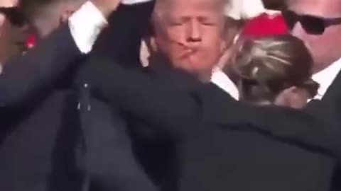 Fight Fight Fight