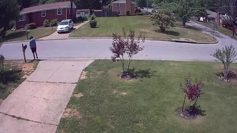 Man Gets Hit On the Face By Insect And Falls On Driveway