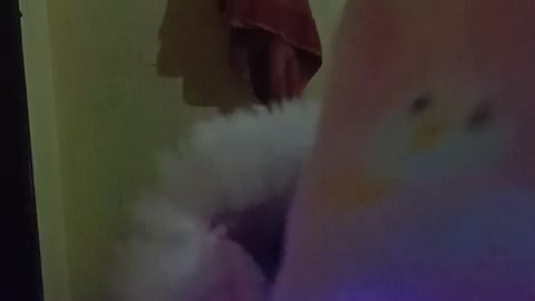 My butifull girl